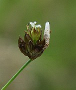 IMG_5278