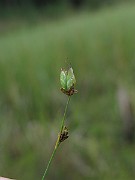 IMG_5282
