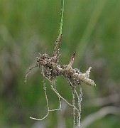 IMG_5283