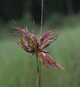 IMG_5284