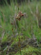 IMG_5285