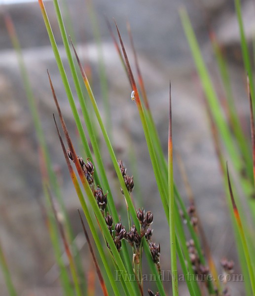 IMG_6791.jpg