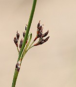 IMG_0128