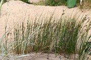 IMG_0129