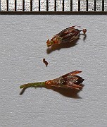 IMG_0141