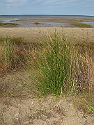 IMG_0927