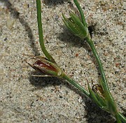 IMG_2029