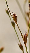 IMG_6585