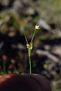 IMG_2448