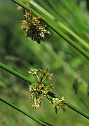 IMG_7776