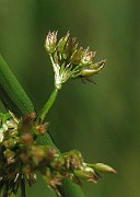 IMG_7777