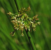 IMG_7780