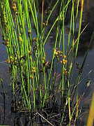 IMG_6841