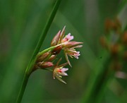 IMG_9997