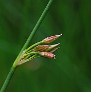 IMG_9999