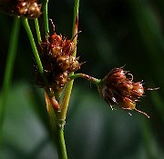 IMG_9874