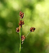 IMG_9878