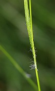 IMG_9886