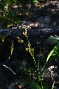IMG_6020