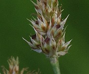 IMG_9370
