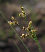 IMG_9395