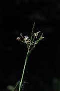 IMG_2487