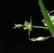 IMG_2489