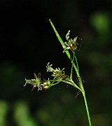 IMG_2491