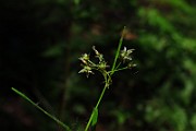 IMG_2495