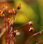 IMG_6273b