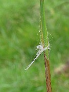 IMG_8480