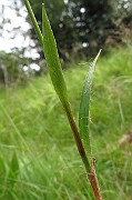 IMG_8481