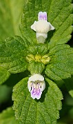 IMG_9805