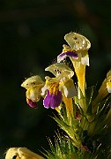 IMG_5876