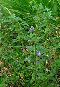 IMG_3378