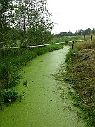 IMG_5864