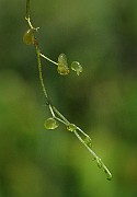 IMG_7728
