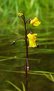 IMG_5709