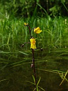 IMG_5711