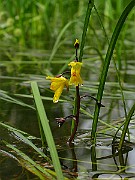 IMG_5712