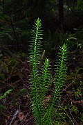 IMG_2716