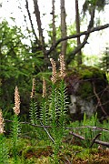 IMG_2718