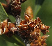 IMG_4720