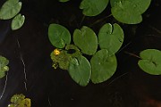 IMG_0023