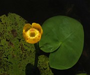 IMG_0024