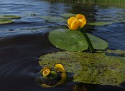 IMG_0026