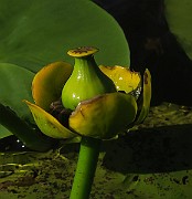 IMG_0030