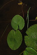 IMG_0032