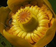 IMG_0040