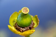 IMG_0966